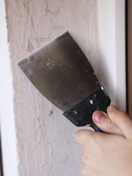 istock spatula with human hand close up photo renovate white wall 957150660