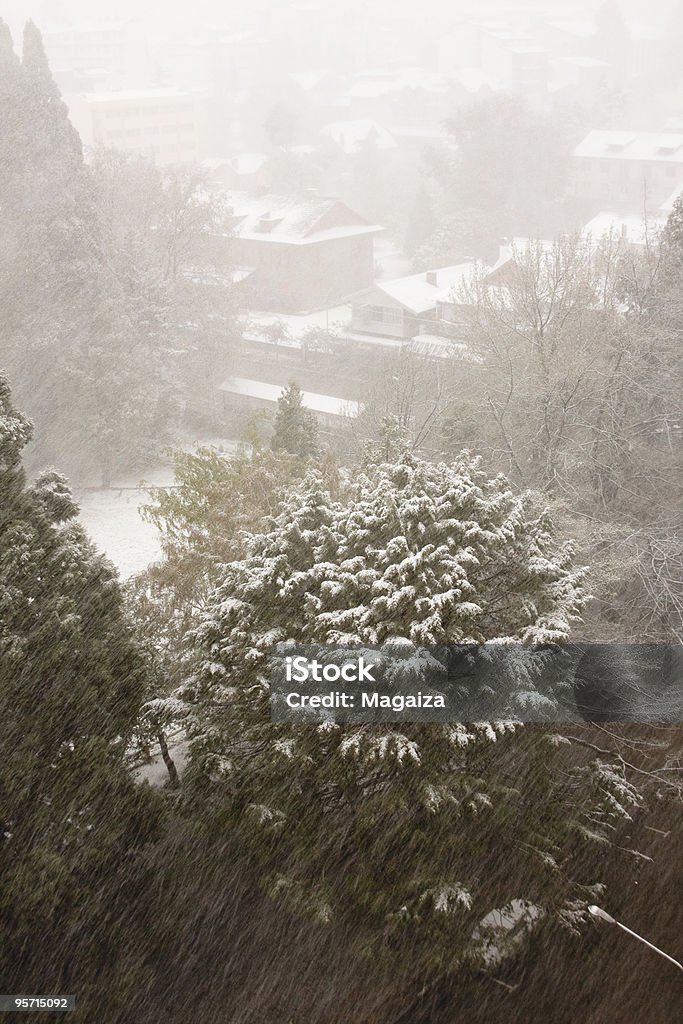 The snow Heavy snowfall over Bariloche City. Hi iso. Diffusion of the image by wind and snow. Argentina Stock Photo