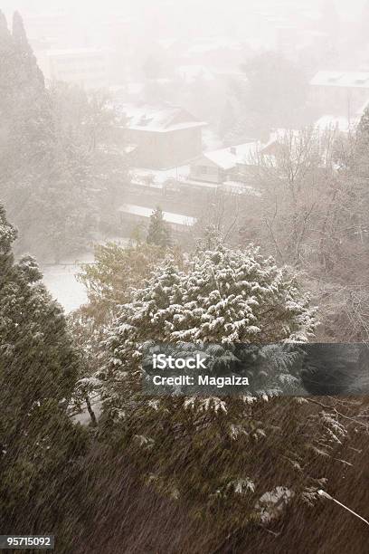 The Snow Stock Photo - Download Image Now - Argentina, Bariloche, Blizzard