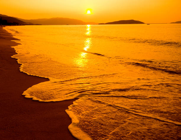 istock Golden beach under the sunset 957154920