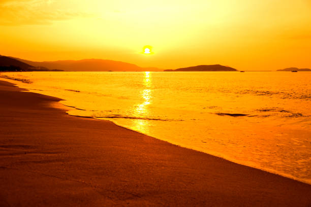 istock Golden beach under the sunset 957155214