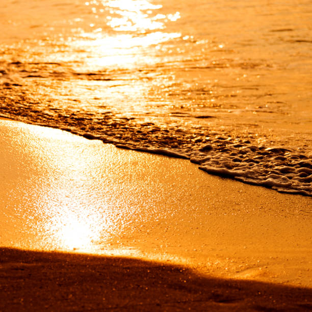 istock Beach and water at sunset 957155370