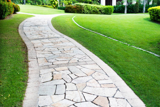 istock Curved path in the formal garden 957156162