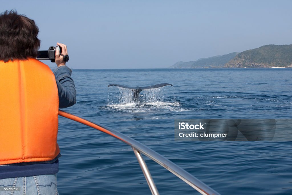 Turista observación de ballenas - Foto de stock de A ver ballenas libre de derechos