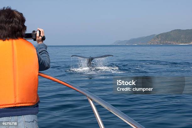 Turista Observación De Ballenas Foto de stock y más banco de imágenes de A ver ballenas - A ver ballenas, Embarcación marina, Exploración