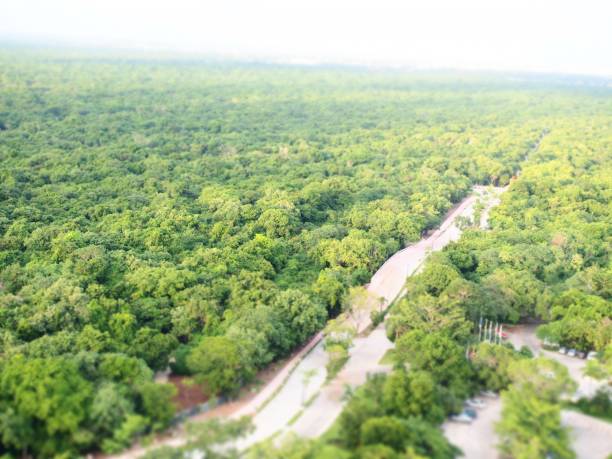istock Aerial View over Playa Del Carmen, Mexico 957158576