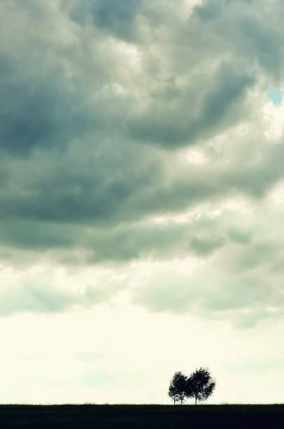 istock Minimalist single tree silhouette. Concept of loneliness, depression, escape, friendship, support, care, marriage. Nature background with copy space. Two trees alone against cloudy sky 957159698