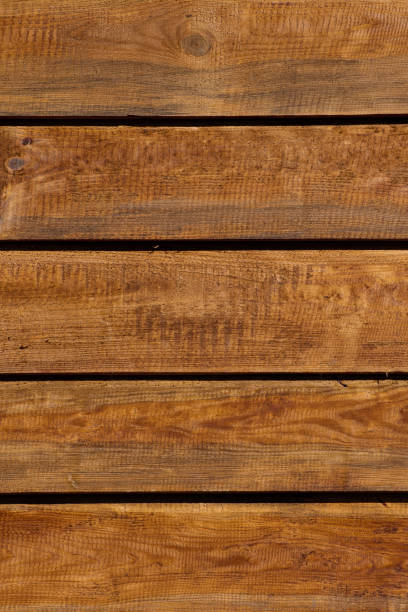 istock texture of bark wood use as natural background 957159950
