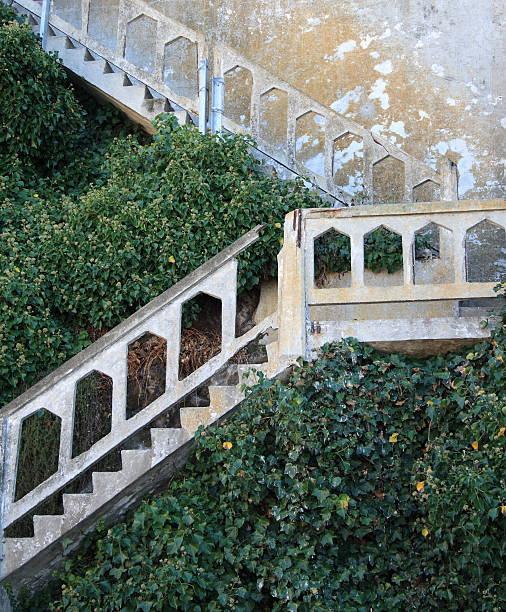 Antique Stone Stairway stock photo
