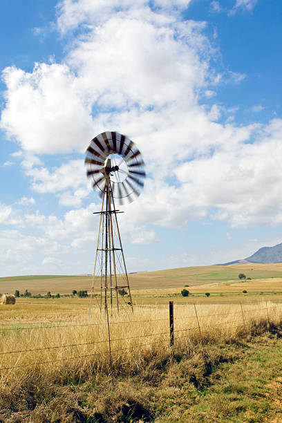 istock Windmill on a farm in South Africa 95716292
