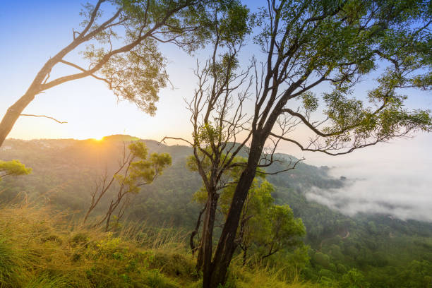 istock Sunrise in Madikeri, coorg hills in Karnataka 957164500