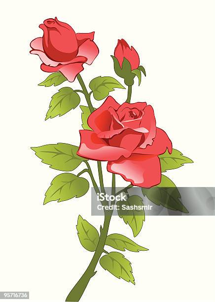 Красная Роза — стоковая векторная графика и другие изображения на тему Без людей - Без людей, Белый фон, Векторная графика