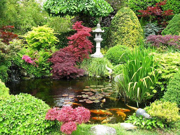 istock Colorful Japanese garden with koi fish pond 95718037