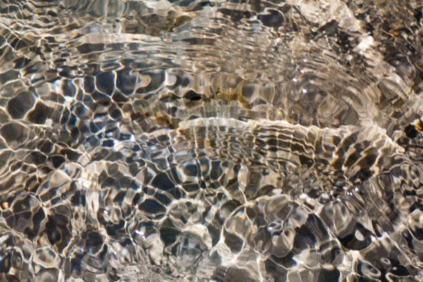istock Sea shells, corals, pebble stones for background 957181206