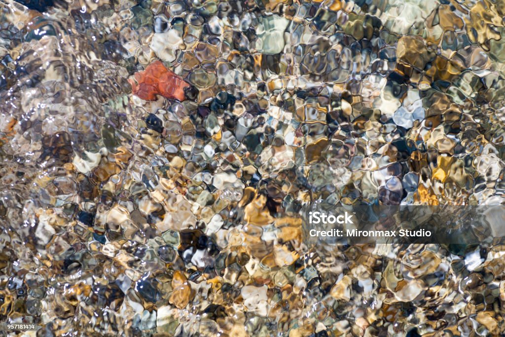 Gravilla de conchas marinas, corales, piedras para el fondo - Foto de stock de Agua libre de derechos