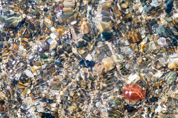 istock Sea shells, corals, pebble stones for background 957181464
