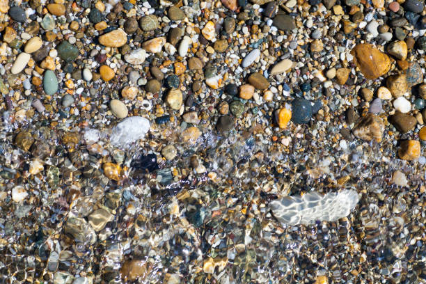 istock Sea shells, corals, pebble stones for background 957181560
