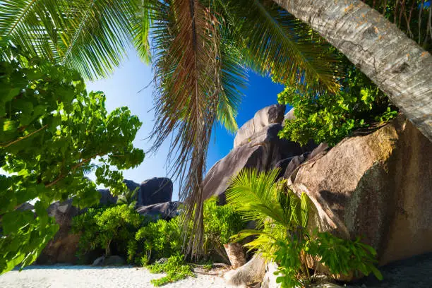 Photo of Tropical paradise of Seychelles