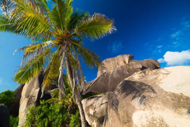 Photo of Granite boulders on Anse Source d'Argent on Seychelles