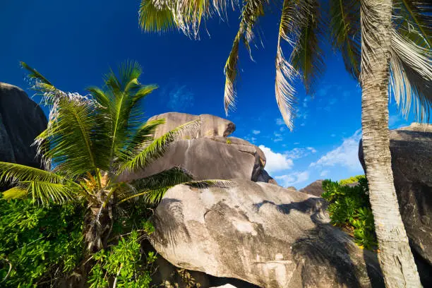 Photo of Granite boulders on Anse Source d'Argent on Seychelles