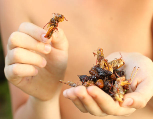 istock asian cuisine deish - silkworm bug beetle grasshopper mixture roasted insects 957189254