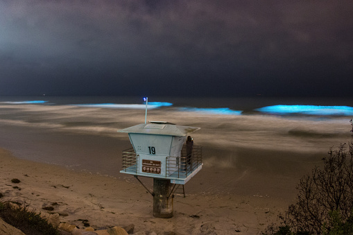 Bioluminescent algae blooming in the surf in San Diego