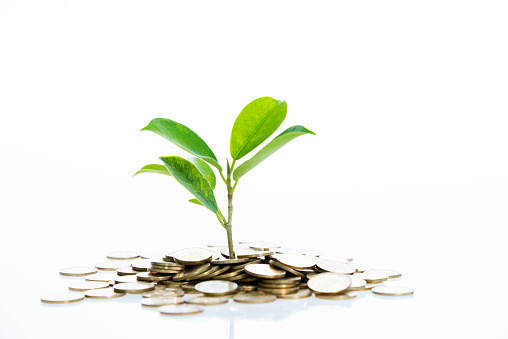 Green plant growth through a stack of coins isolated on white background.