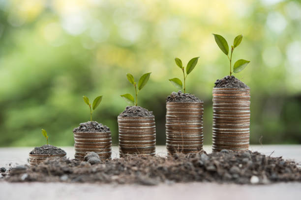 istock stack of money,save money  concept 957195792
