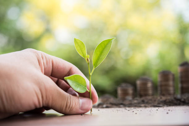 istock holding young plant in hand 957195806
