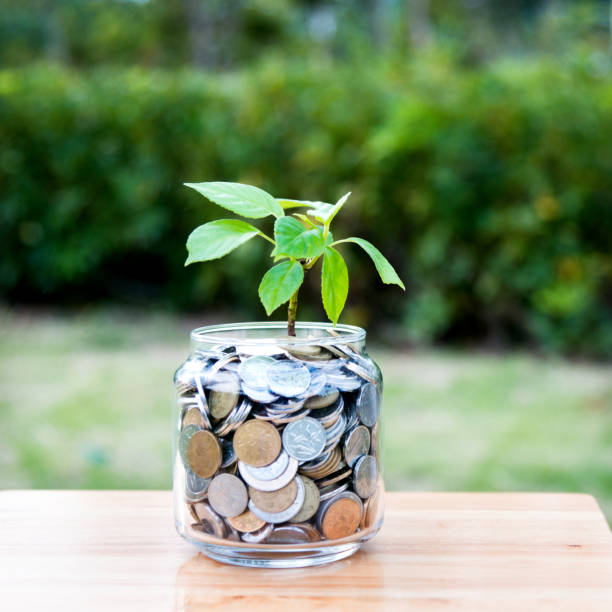 istock Plant growing from coin jar 957202924