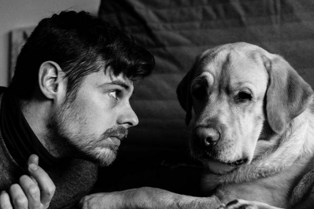 istock The man and the dog 957214184