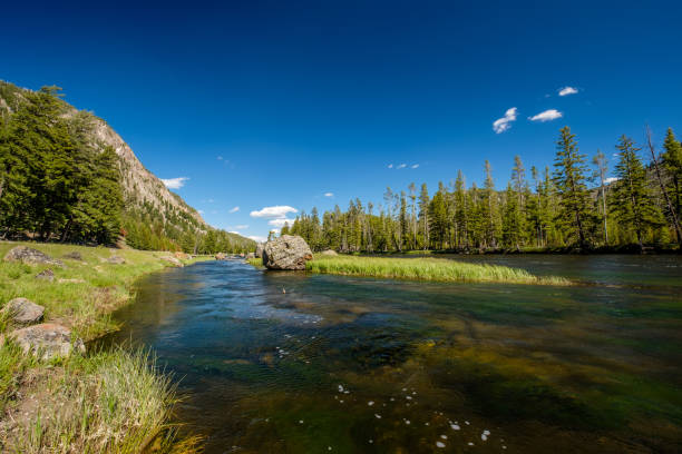 istock Madison River, Yellowstone National Park, Wyoming 957221824
