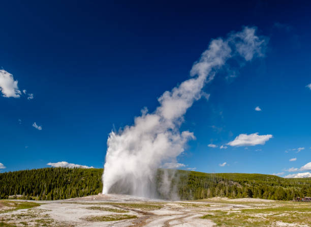 gêiser old faithful no parque nacional de yellowstone - reliability old old faithful famous place - fotografias e filmes do acervo