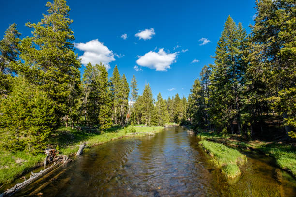 istock Firehole River, Yellowstone National Park, Wyoming 957221888