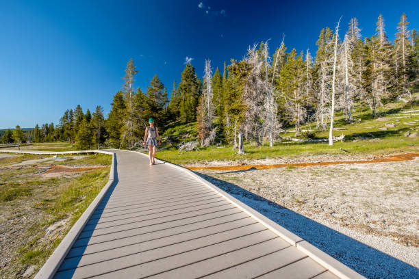 istock Tourist with backpack hiking in Yellowstone 957221956