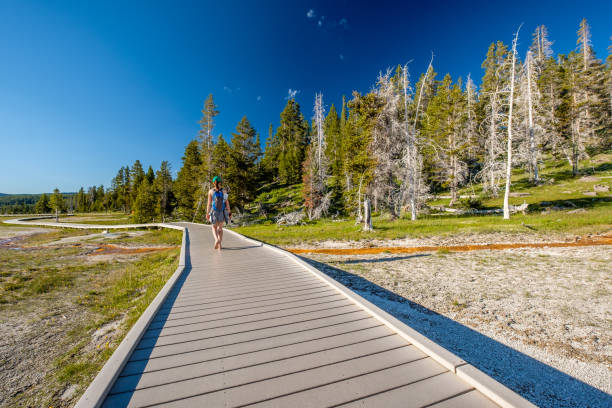 istock Tourist with backpack hiking in Yellowstone 957221964