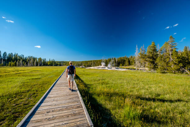 istock Tourist with backpack hiking in Yellowstone 957221970