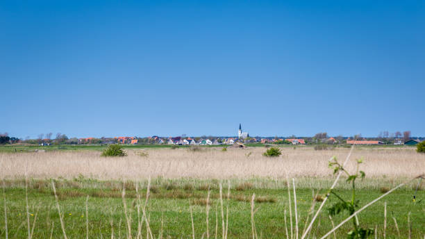 istock Skyline Den Hoorn Texel the Netherlands 957232494