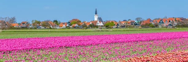 istock Skyline Den Hoorn Texel the Netherlands 957233612