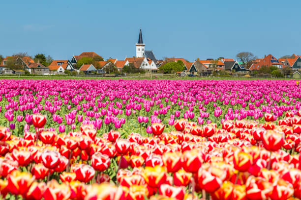 istock Skyline Den Hoorn Texel the Netherlands 957233696