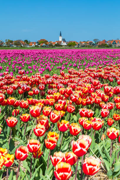 istock Skyline Den Hoorn Texel the Netherlands 957233792