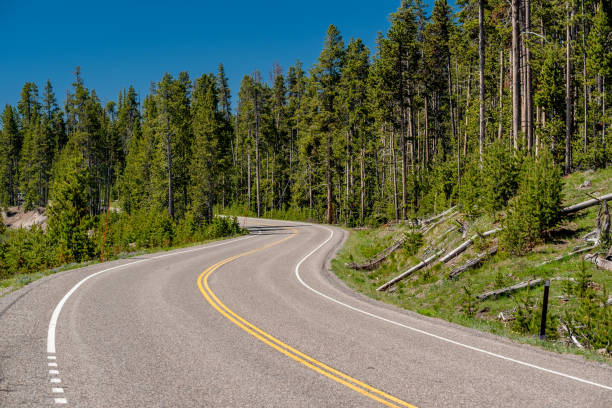 istock Highway in Yellowstone National Park 957234526