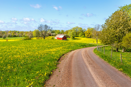 Gravel road through rural landscape in spring