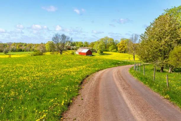 Photo of Gravel road through rural landscape in spring