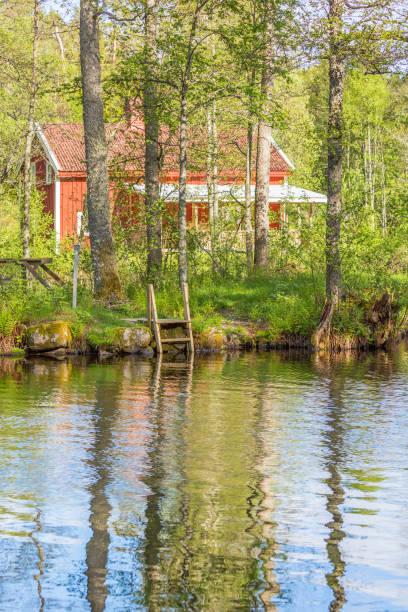 istock Lake beach with a red cottage in the woods 957240206