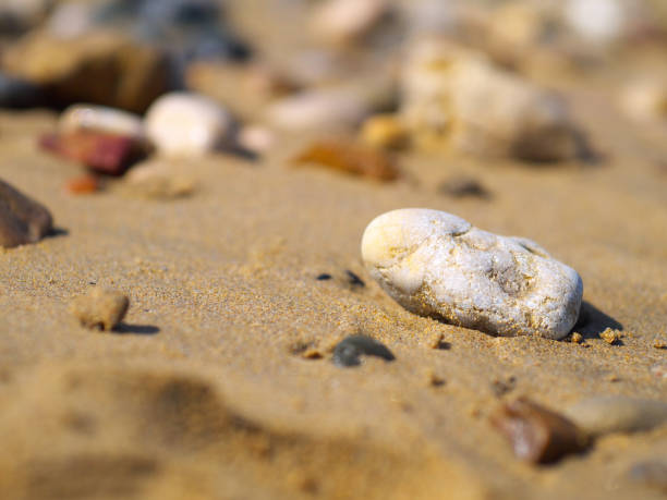 istock pebble stone on sand on a beach, closeup, shallow depth of field 957244622