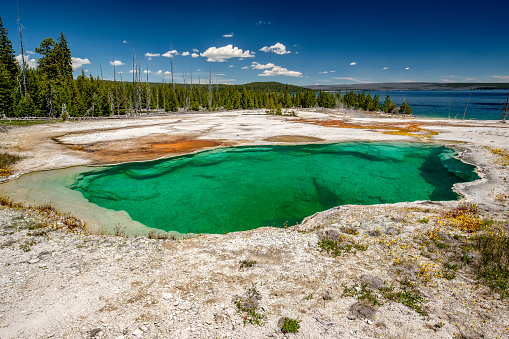 Black Pool hot spring with Yellowstone Lake in the background