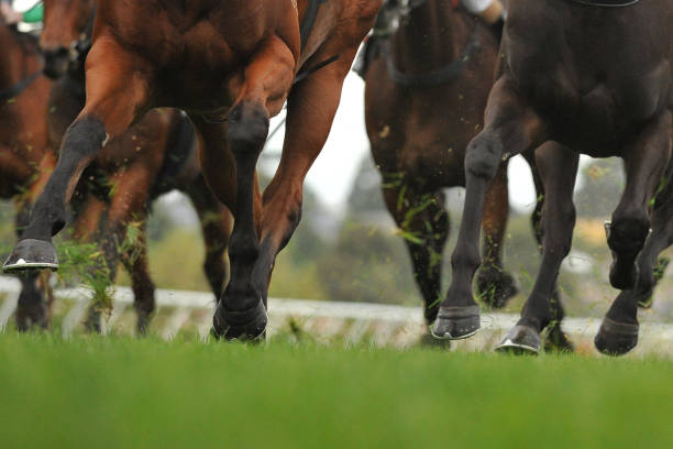 istock Horse racing action 957245258