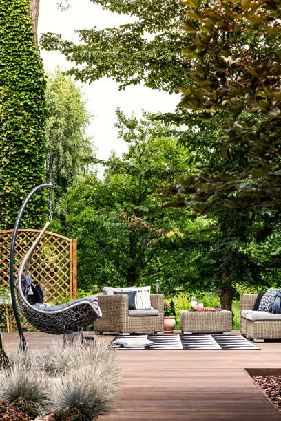 istock Summer retreat on sunny day 957245390