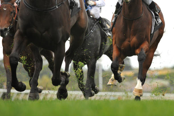 istock Horse racing action 957245426